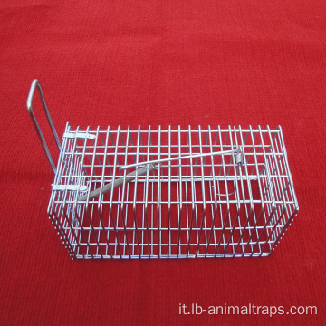Squirrel piccola trappola per animali a gabbia singola
